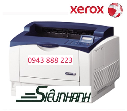 MÁY IN FUJI XEROX DP3105 (A3)